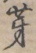 芽 위치 확인됨