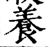 Chữ 養