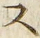 𡨸ス