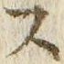 𡨸ス