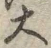 位置定マレル大