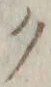 “ク”字