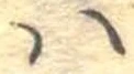 𛂞の位置