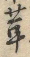 茸 위치 확인됨