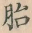 字胎