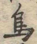 鳥 위치 확인됨