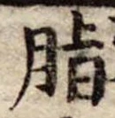 Đã định vị 脂