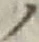 字ノ