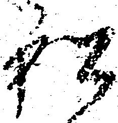 已定位私
