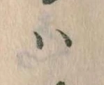 已定位𛂞