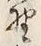 글자 野