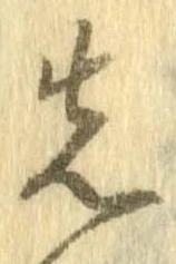 位置 確認된 先