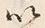 文字以