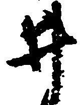 井 위치 확인됨