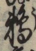 Đã định vị 鵜