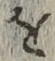文字 を