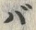 文字 バ