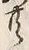 Chữ 共
