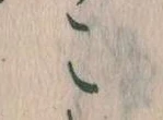 こ 위치 확인됨