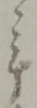 年 위치 확인됨