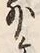 Chữ 外