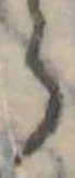 𛃰 위치 확인됨