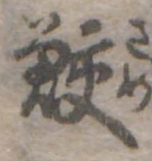 鮫 위치 확인됨