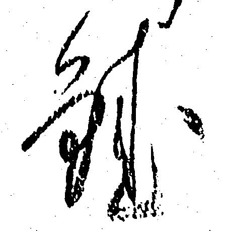 鮭 위치 확인됨