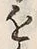 Chữ 近