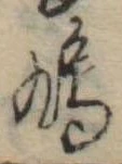 鳩 위치 확인됨