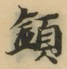 顉の位置