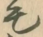 毛 위치 확인됨