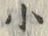 Character 小