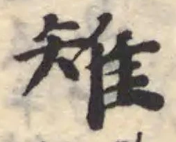 雉 위치 확인됨