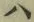 字ハ