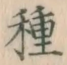 글자 種