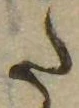 已定位𛁠