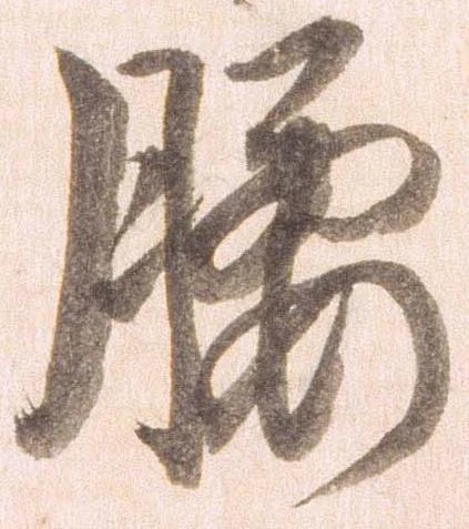 已定位腰