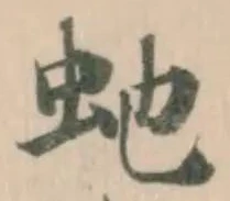 虵 위치 확인됨