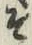 “そ”字