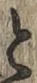 文字と