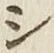 字シ