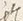 文字ノ