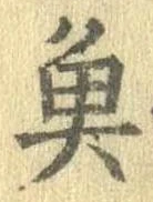 魚 위치 확인됨