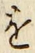 文字 を
