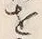 글자 発