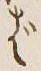 글자 ば