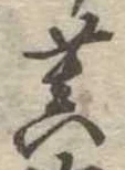 Đã định vị 菩