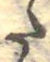 𛁠の位置