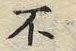 글자 不